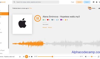 How to create an ultimate Music Sharing Platform using PHP and MySQL with source Code