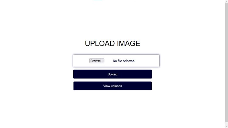 Upload image in PHP MySQL database and display
