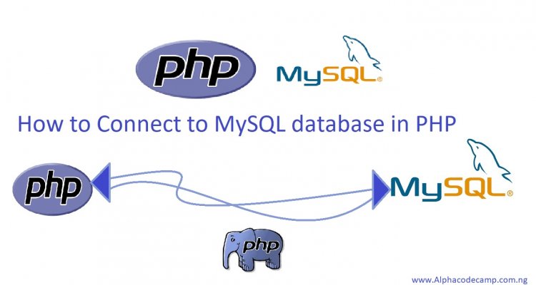 Connect to MySQL database in PHP
